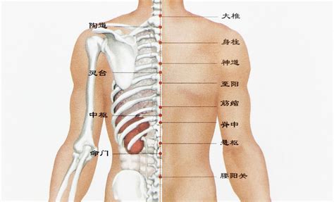 后背有痣